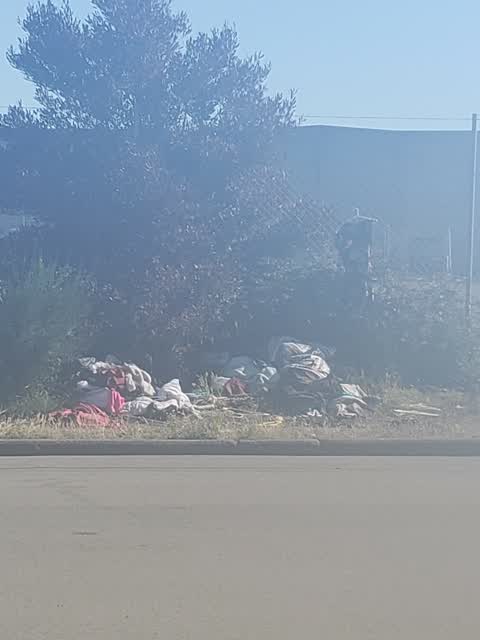 Rubbish/Recycling, a report photo