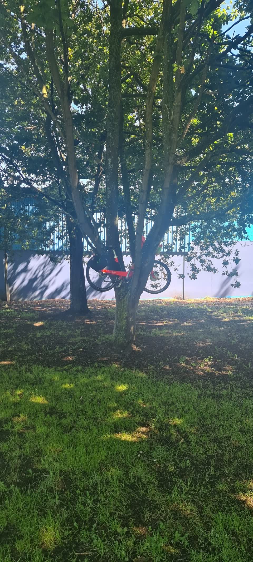 The photograph attached to this parks report