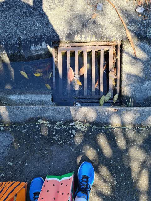 Wastewater/Stormwater, a report photo