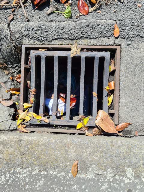Wastewater/Stormwater, a report photo