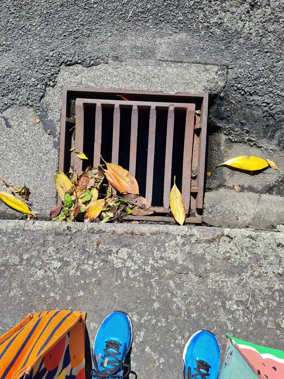 The photograph attached to this wastewater/stormwater report