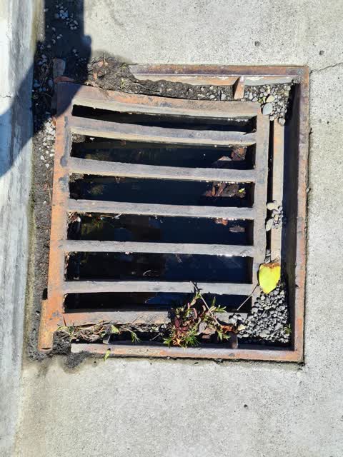 Wastewater/Stormwater, a report photo