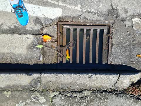 Wastewater/Stormwater, a report photo