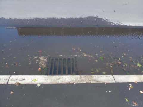 Flooding — a report photo