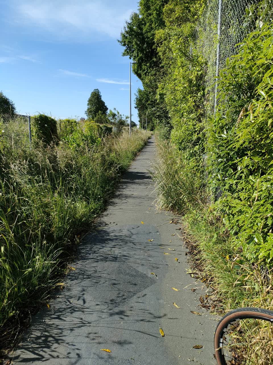 The photograph attached to this parks report