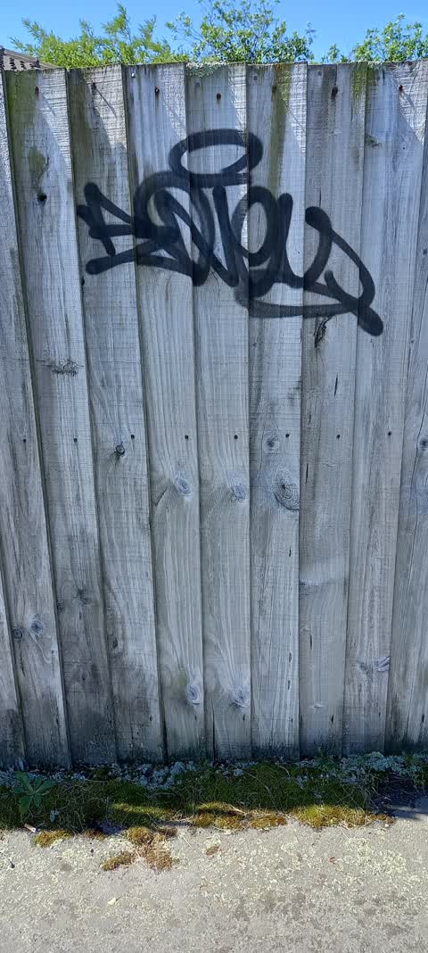 Graffiti, a report photo