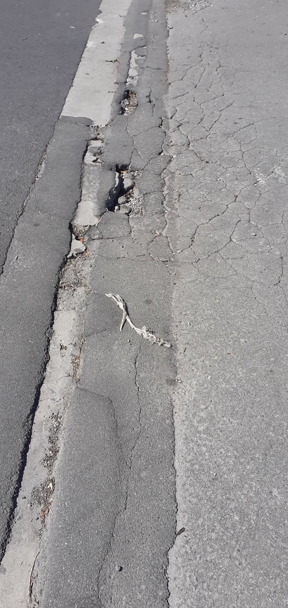 The photograph attached to this roading/streets report