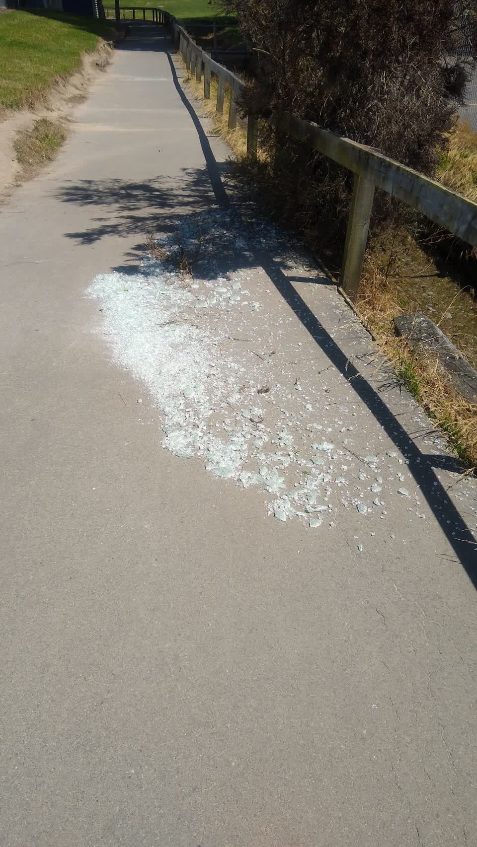 The photograph attached to this parks report