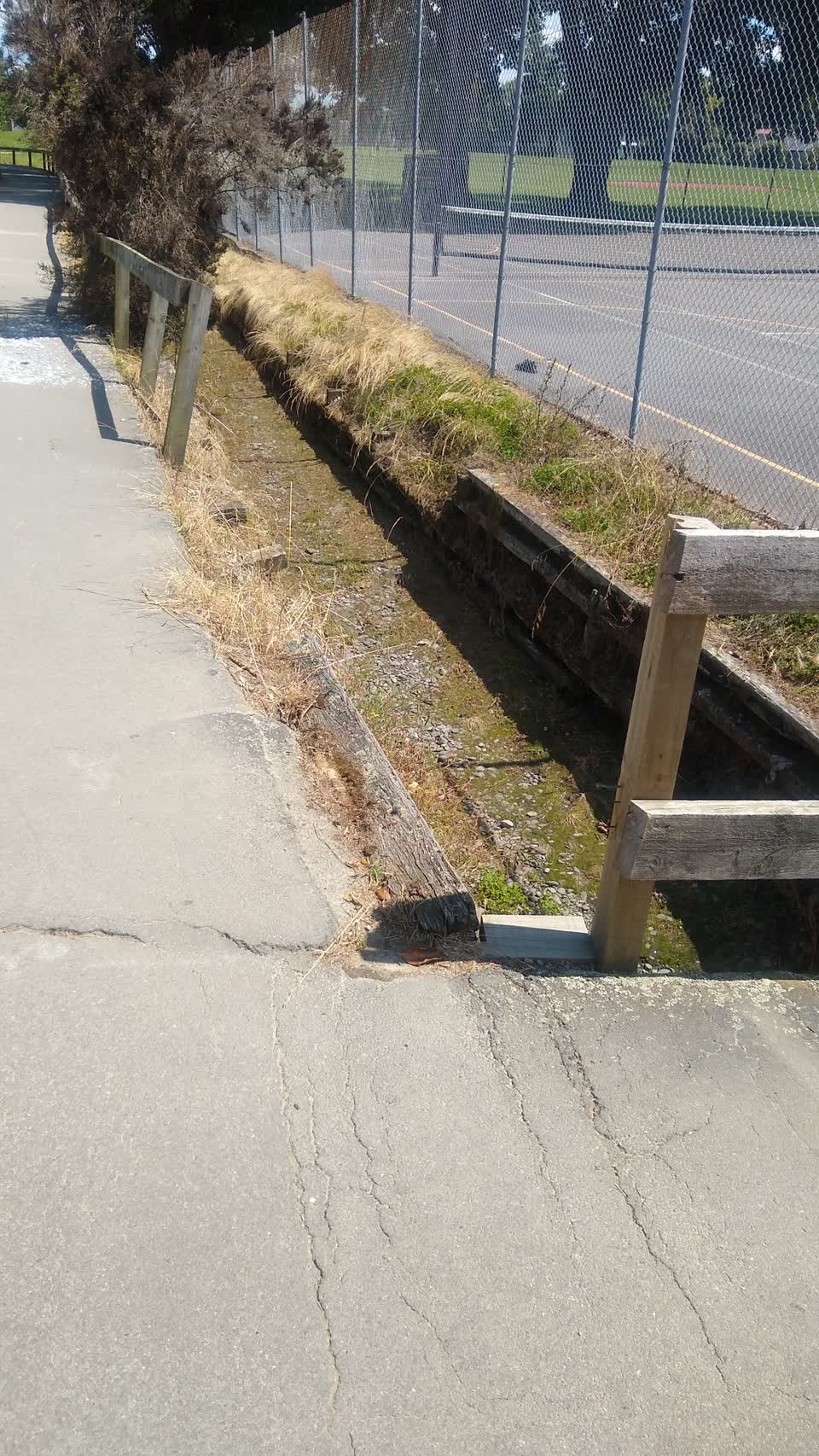 The photograph attached to this parks report