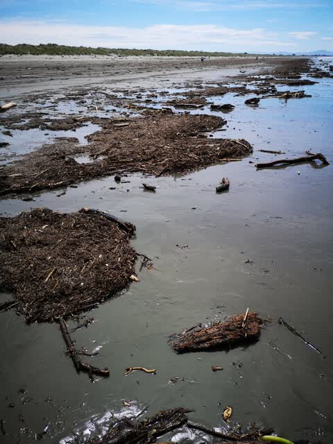 Rubbish/Recycling, a report photo