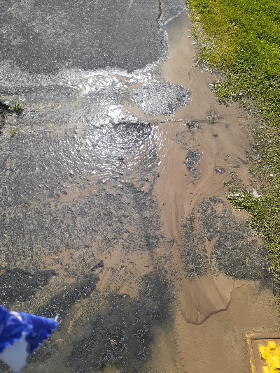 The photograph attached to this water leak report