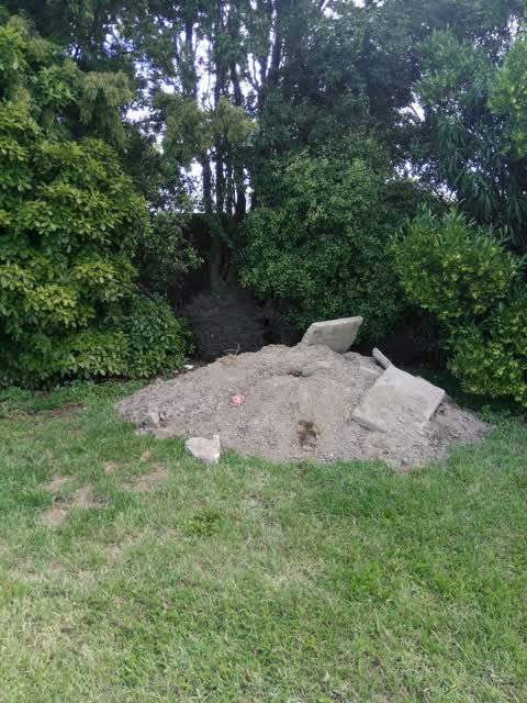 Rubbish/Recycling, a report photo