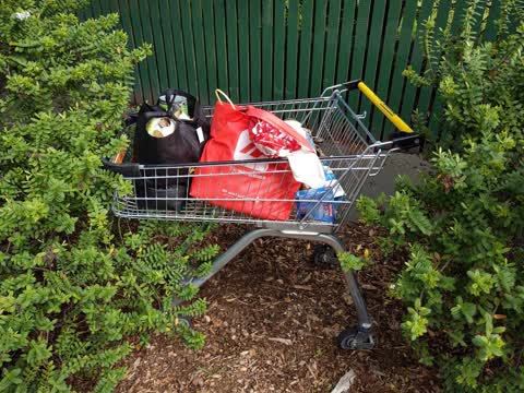 Rubbish/Recycling — a report photo