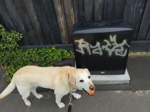 Graffiti — a report photo