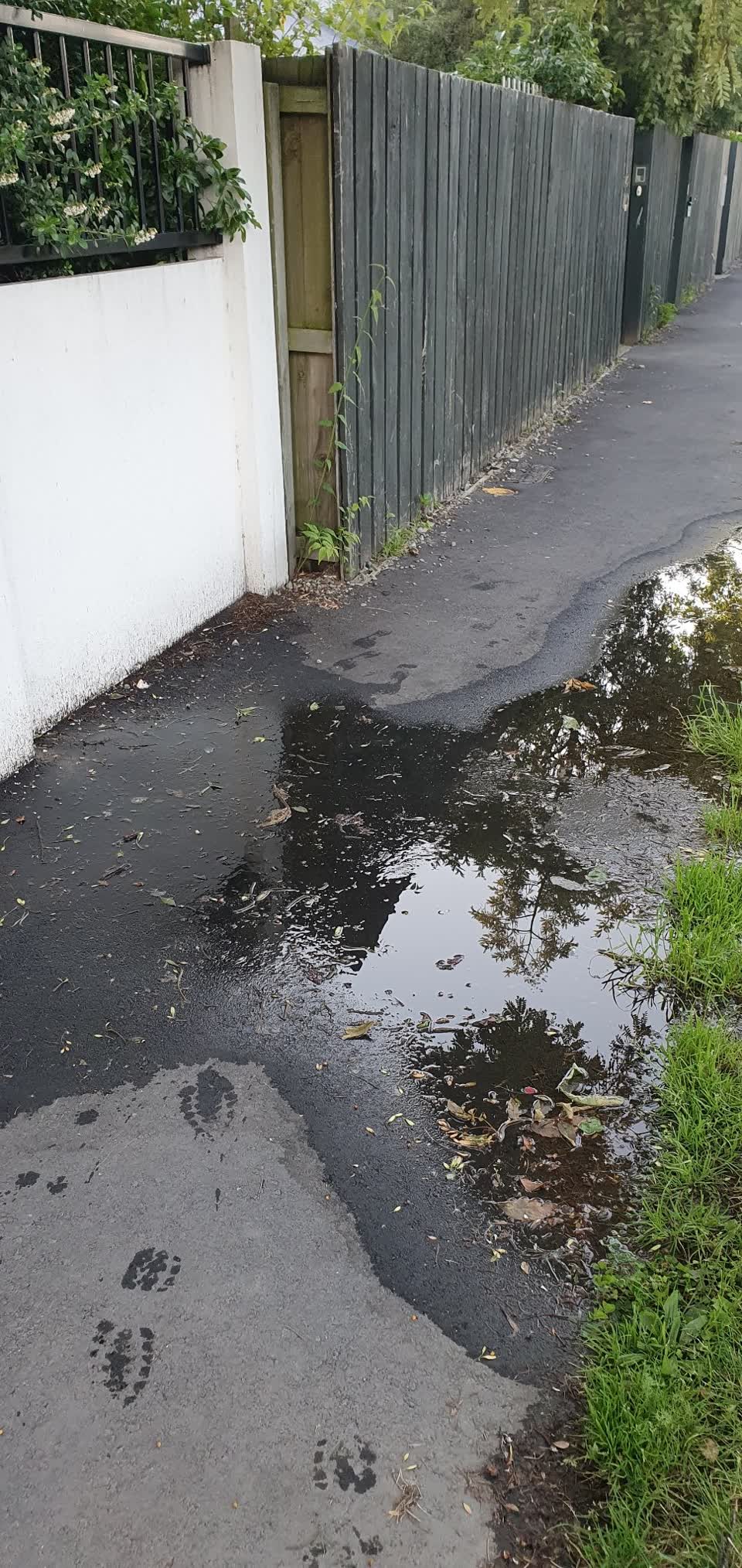 The photograph attached to this water leak report