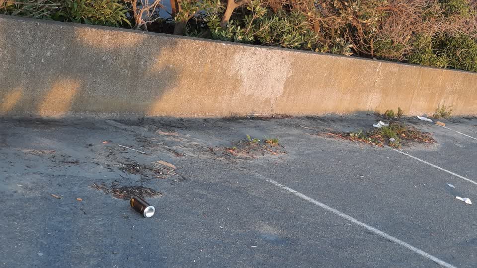The photograph attached to this parks report