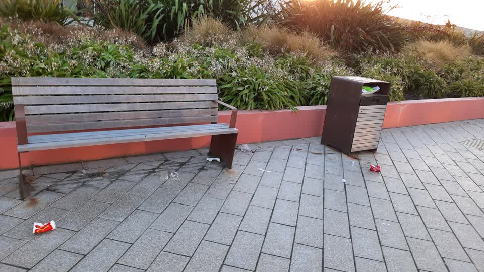 The photograph attached to this parks report