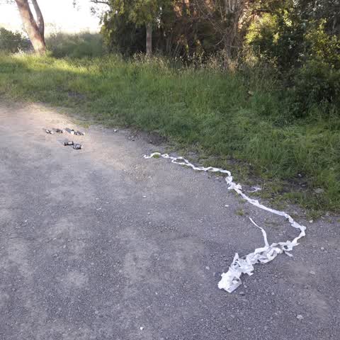 Roading/Streets — a report photo