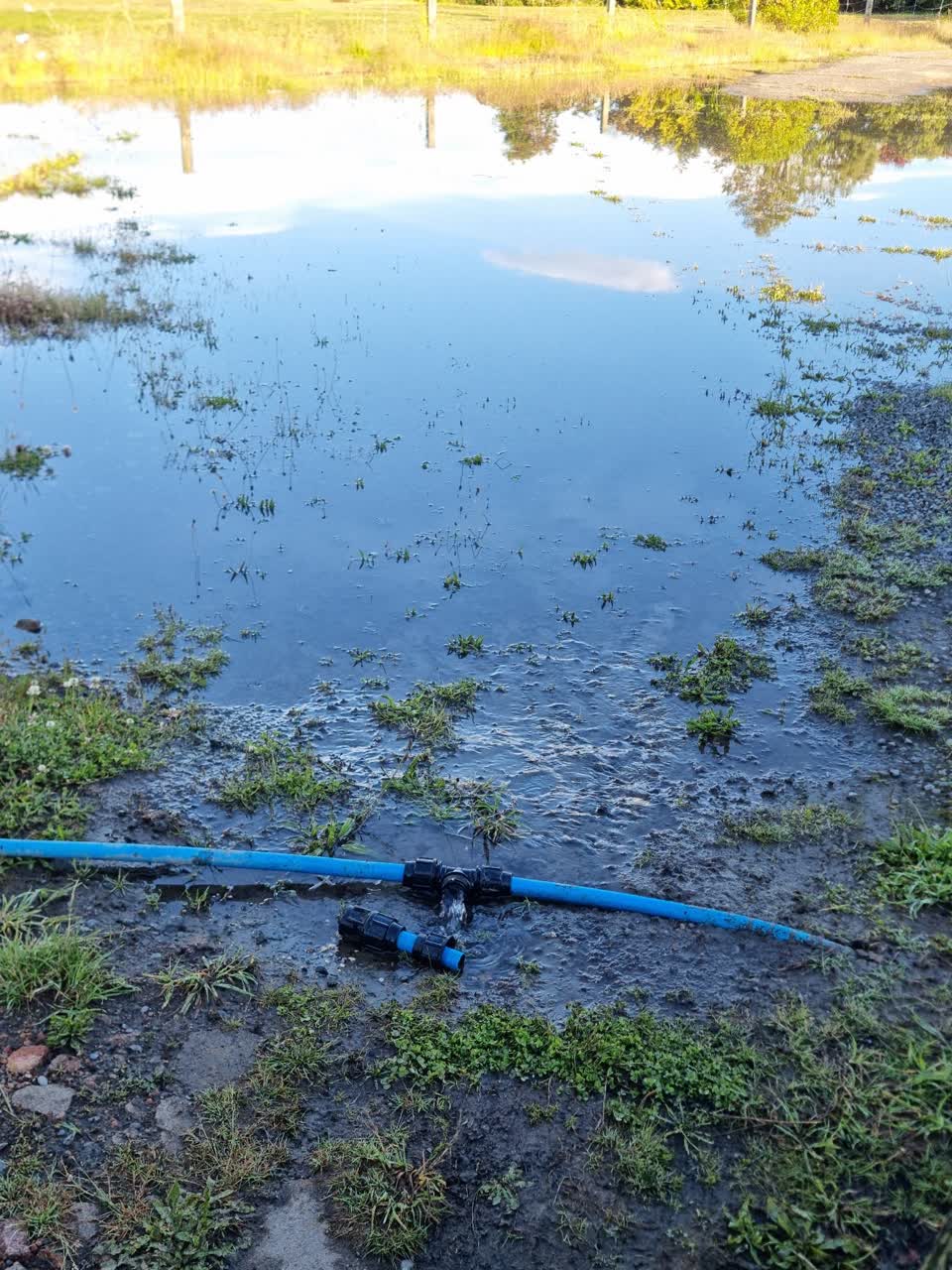The photograph attached to this water leak report