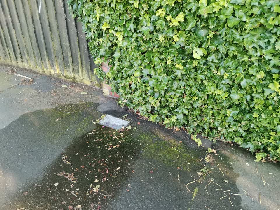 The photograph attached to this water leak report