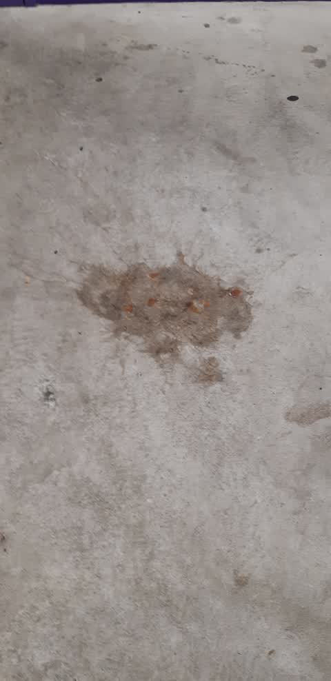 Graffiti — a report photo
