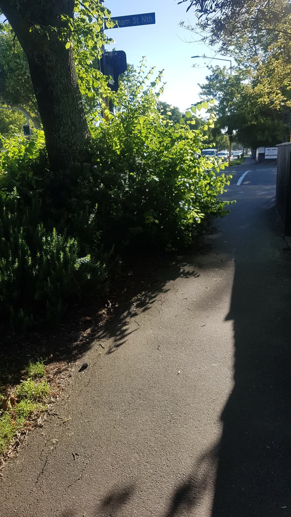 The photograph attached to this roading/streets report