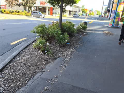 Roading/Streets, a report photo