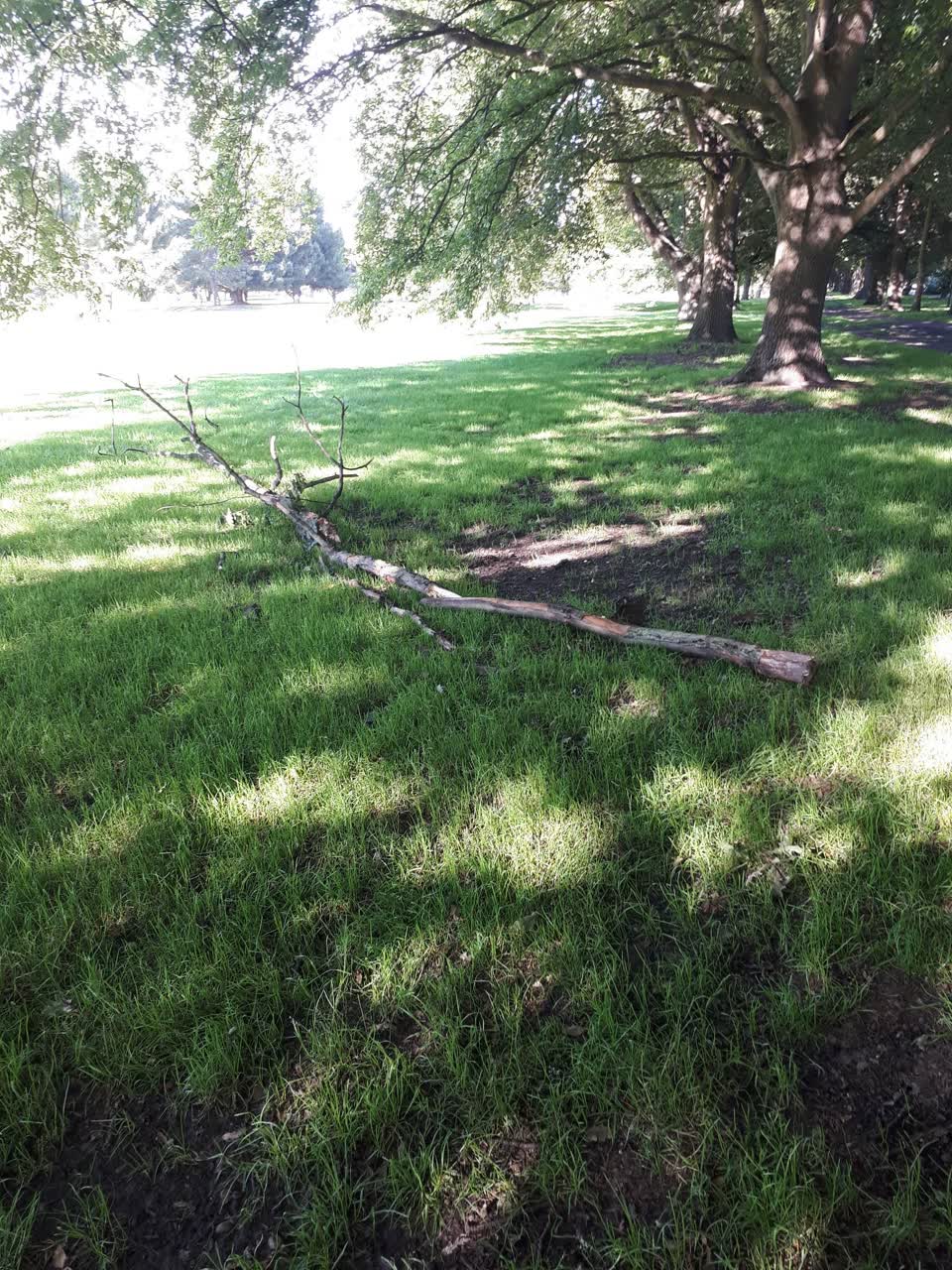The photograph attached to this parks report