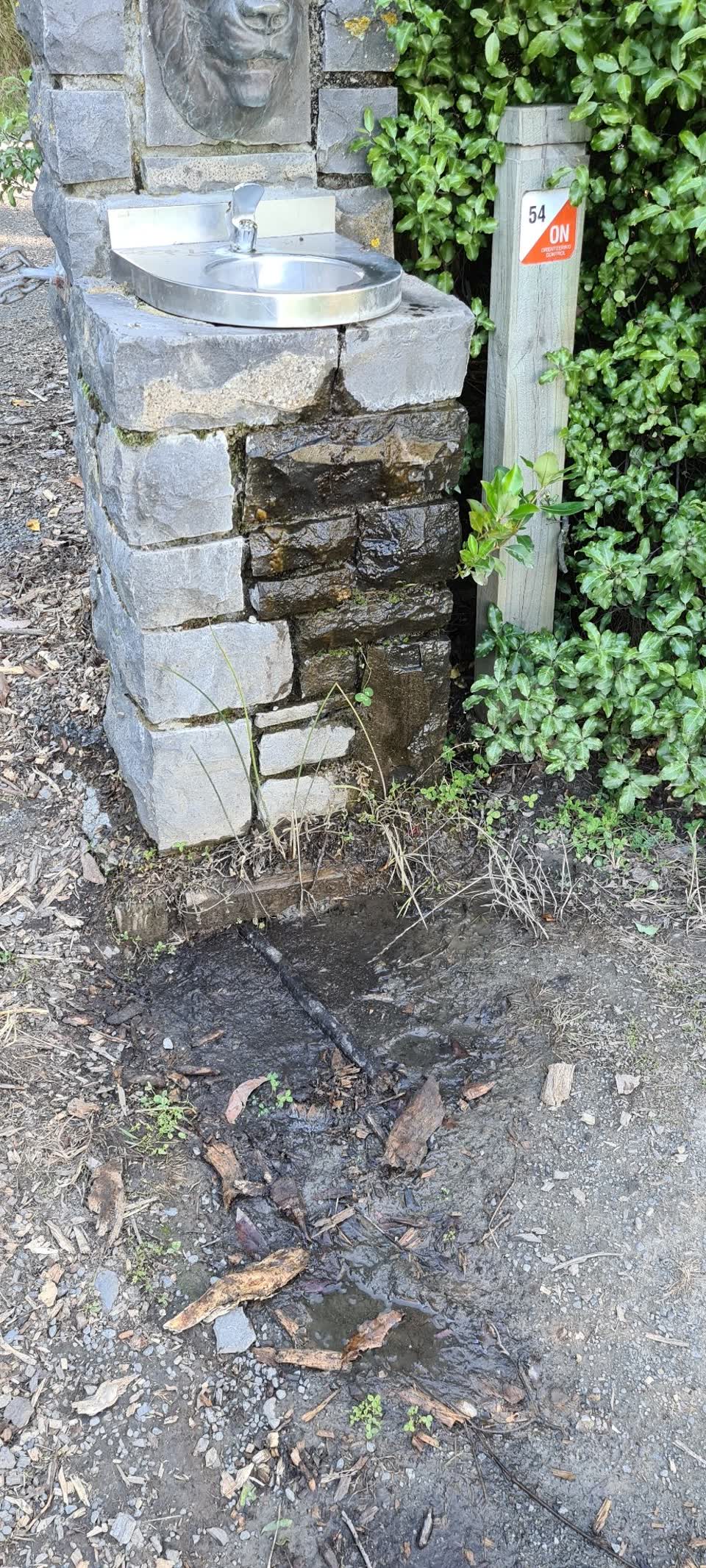 The photograph attached to this parks report