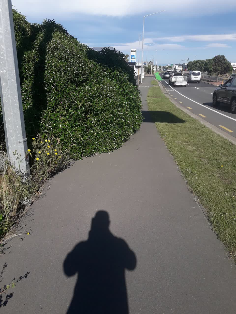The photograph attached to this parks report