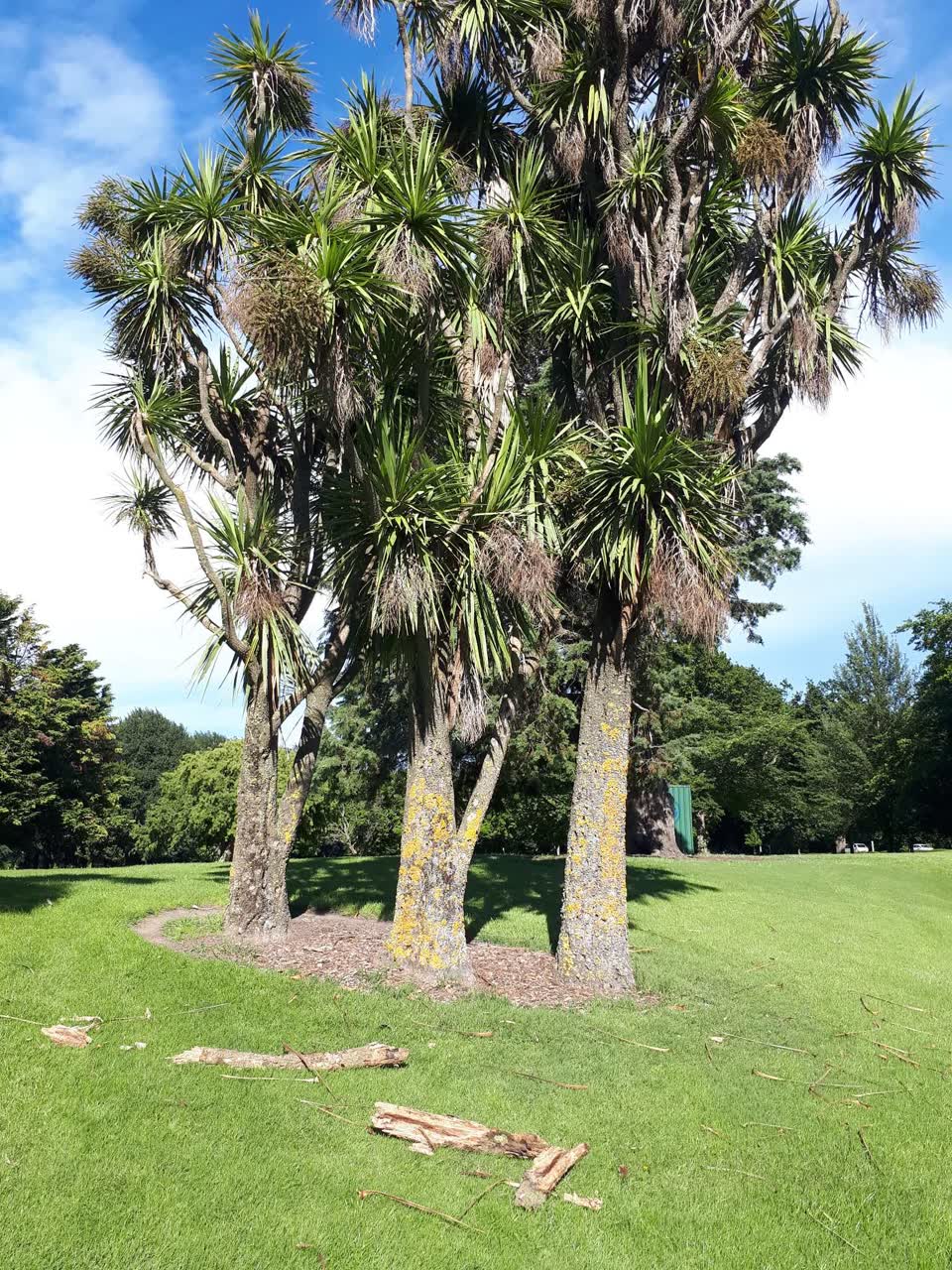 The photograph attached to this parks report