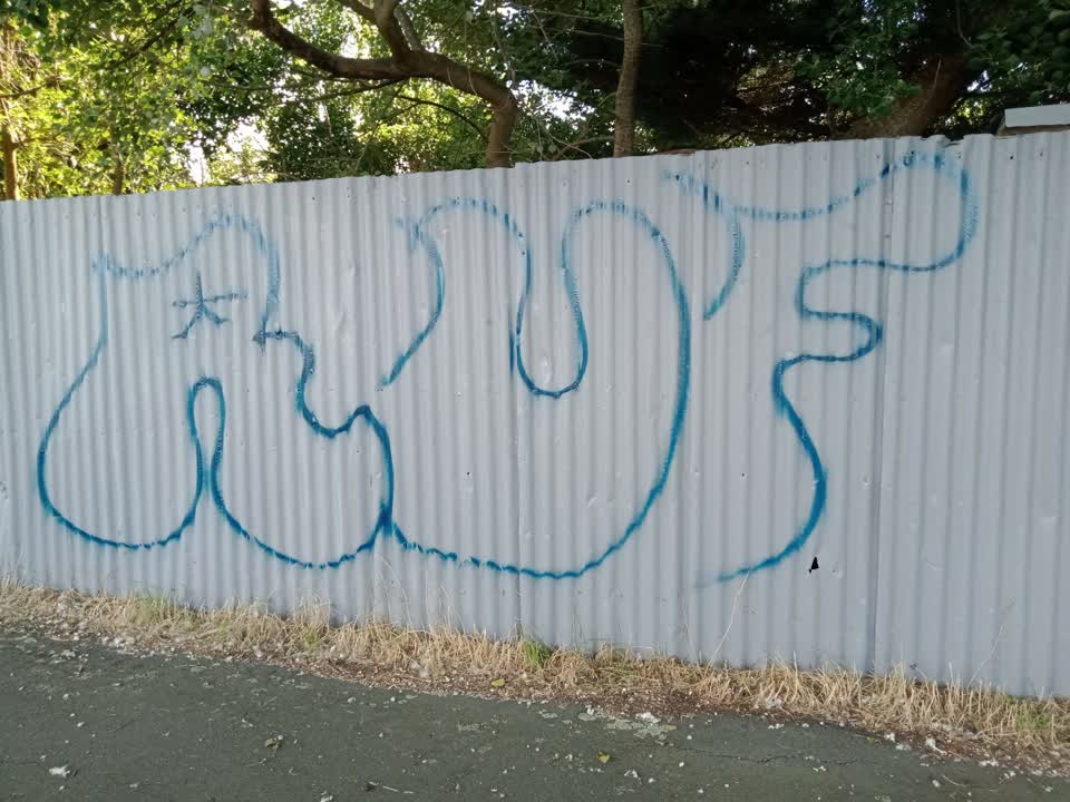 The photograph attached to this graffiti report