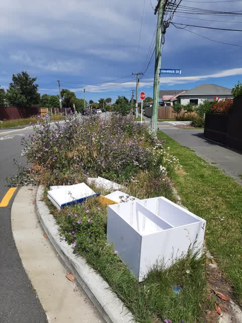 Rubbish/Recycling, a report photo
