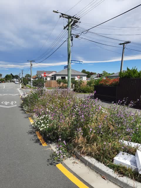 Roading/Streets, a report photo