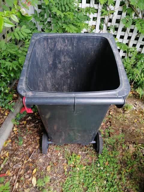 Rubbish/Recycling, a report photo