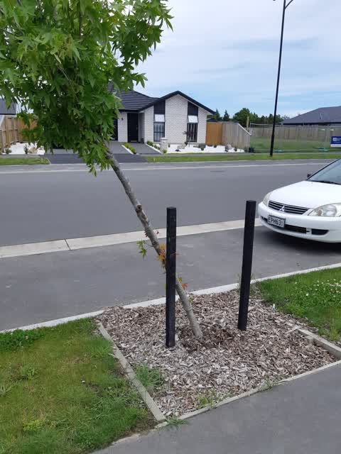 Parks, a report photo