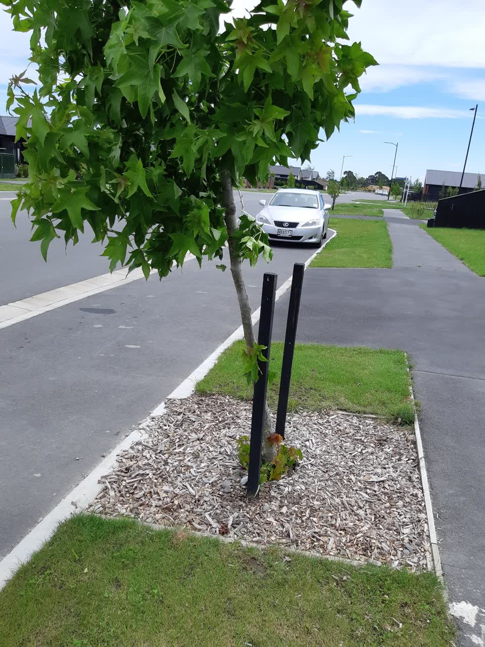 The photograph attached to this parks report