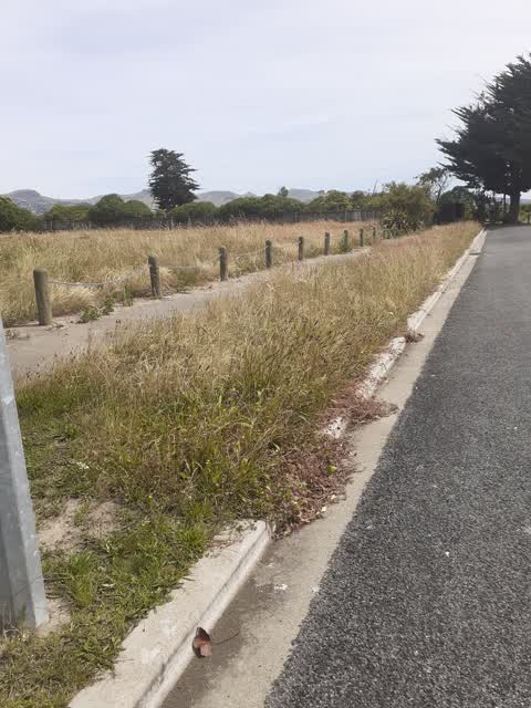 Roading/Streets, a report photo
