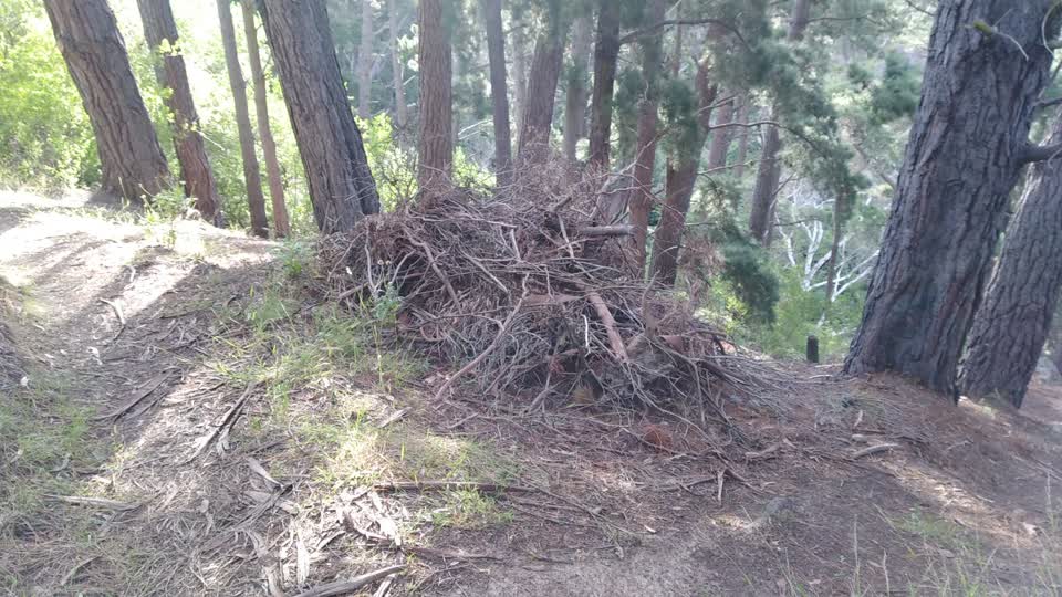 The photograph attached to this parks report