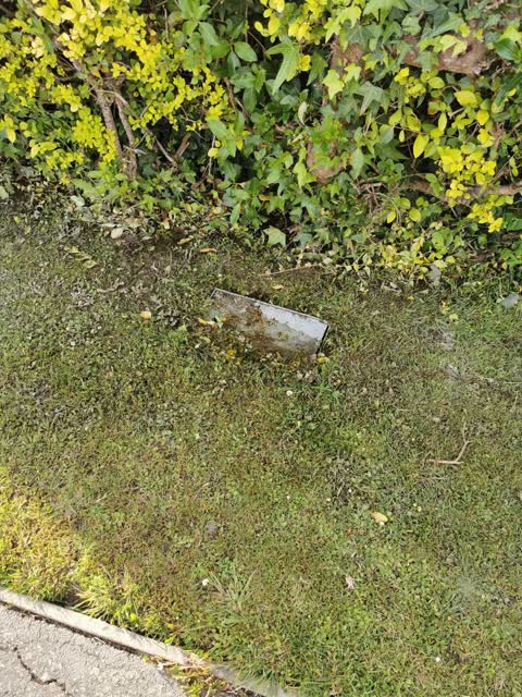Water Leak, a report photo