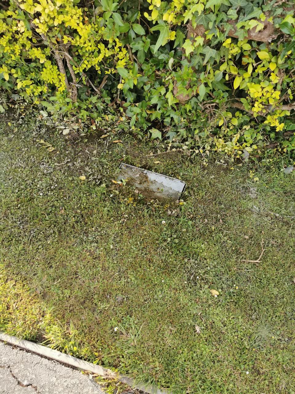 The photograph attached to this water leak report