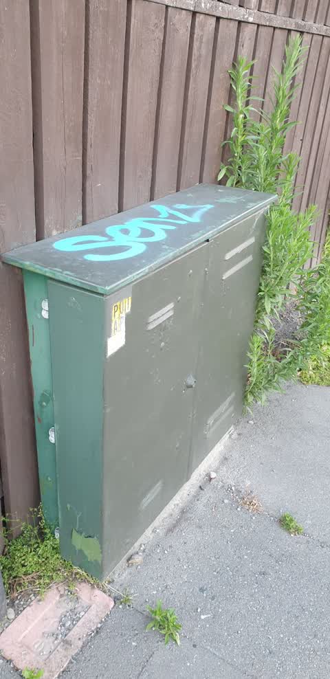 Graffiti, a report photo