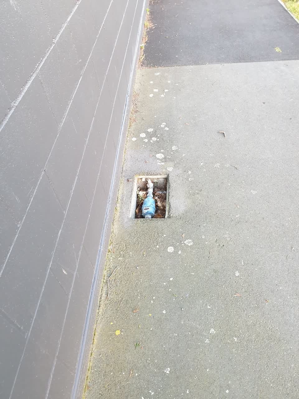 The photograph attached to this water supply report