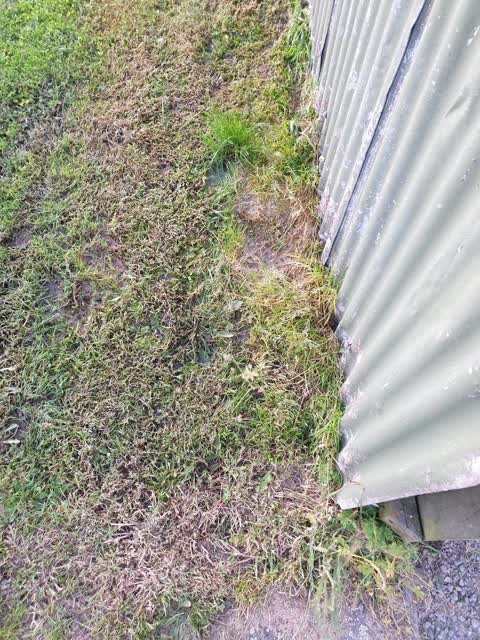 Water Leak, a report photo