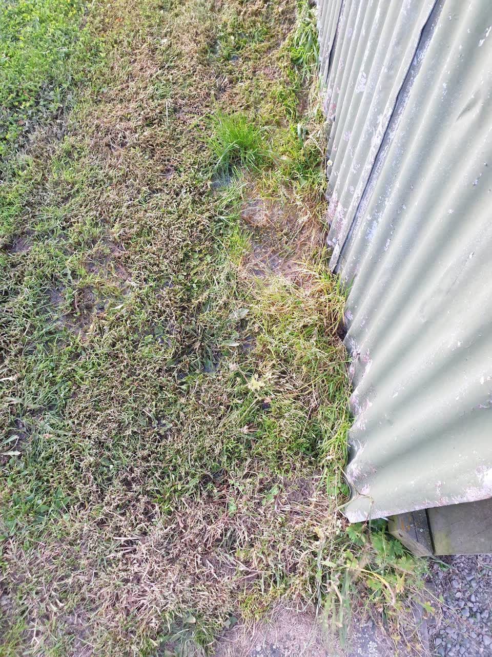 The photograph attached to this water leak report