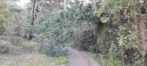 Parks — a report photo