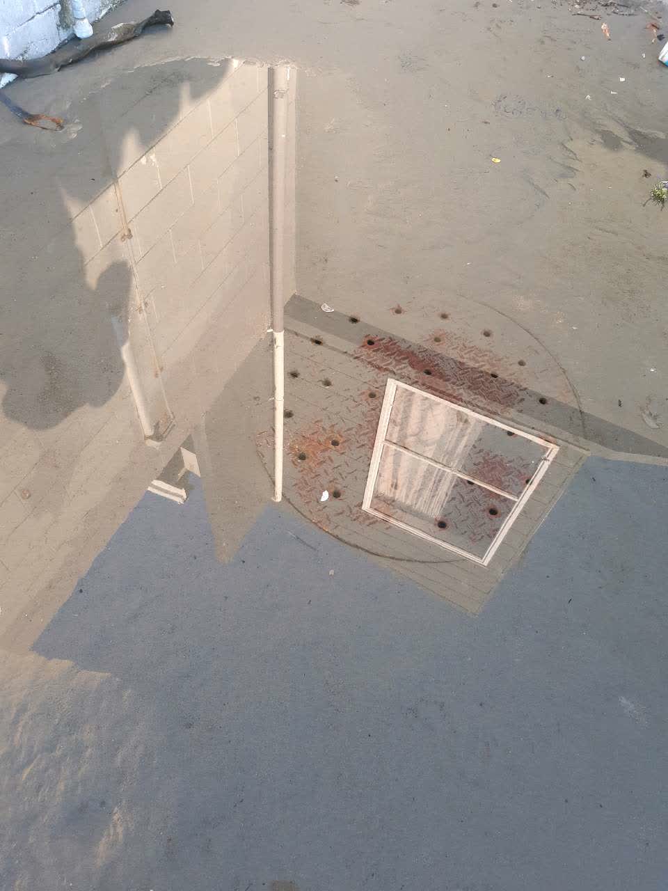 The photograph attached to this general request report