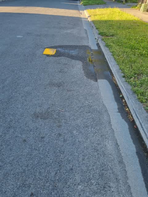 Water Leak, a report photo