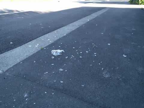 Roading/Streets, a report photo
