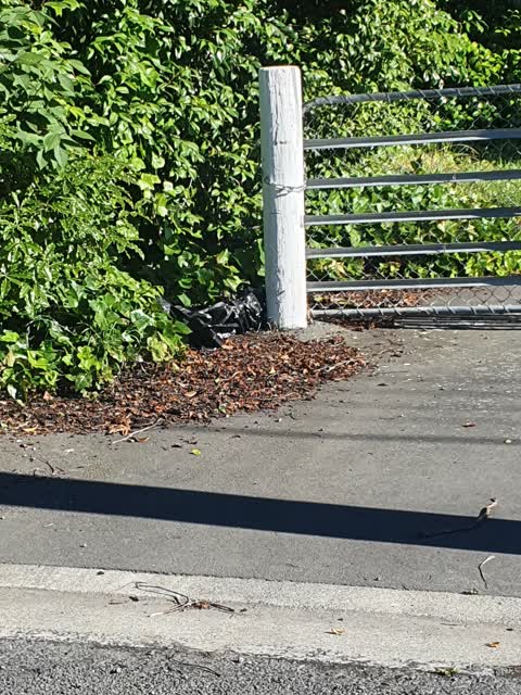 Parks, a report photo